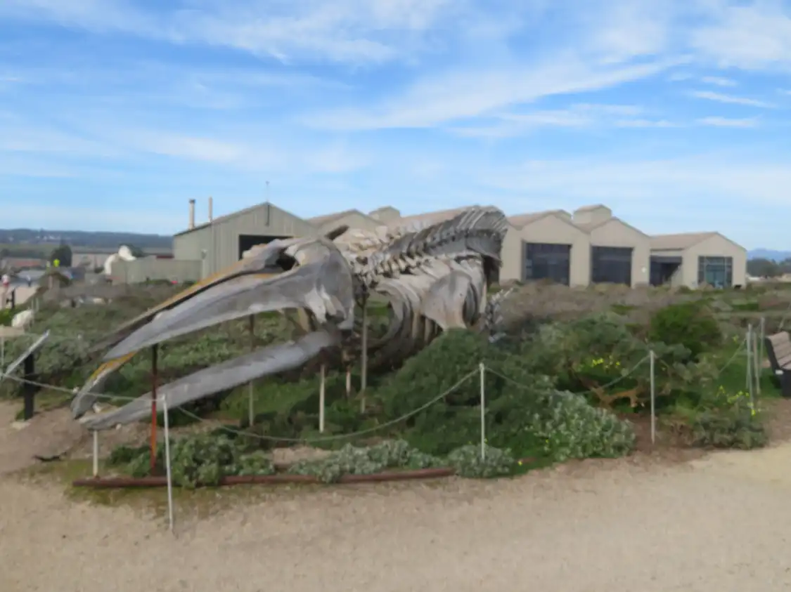 Hotels near Seymour Marine Discovery Center
