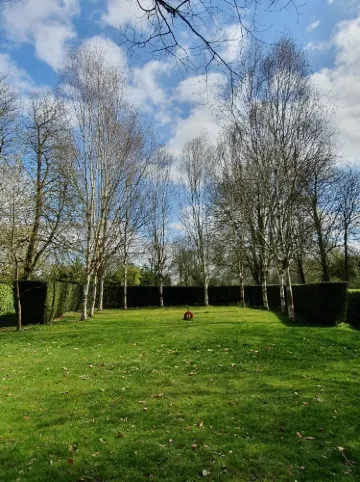 National Trust - Whipsnade Tree Cathedral