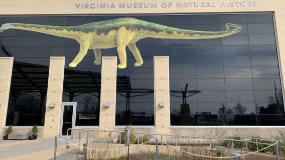 Virginia Museum of Natural History