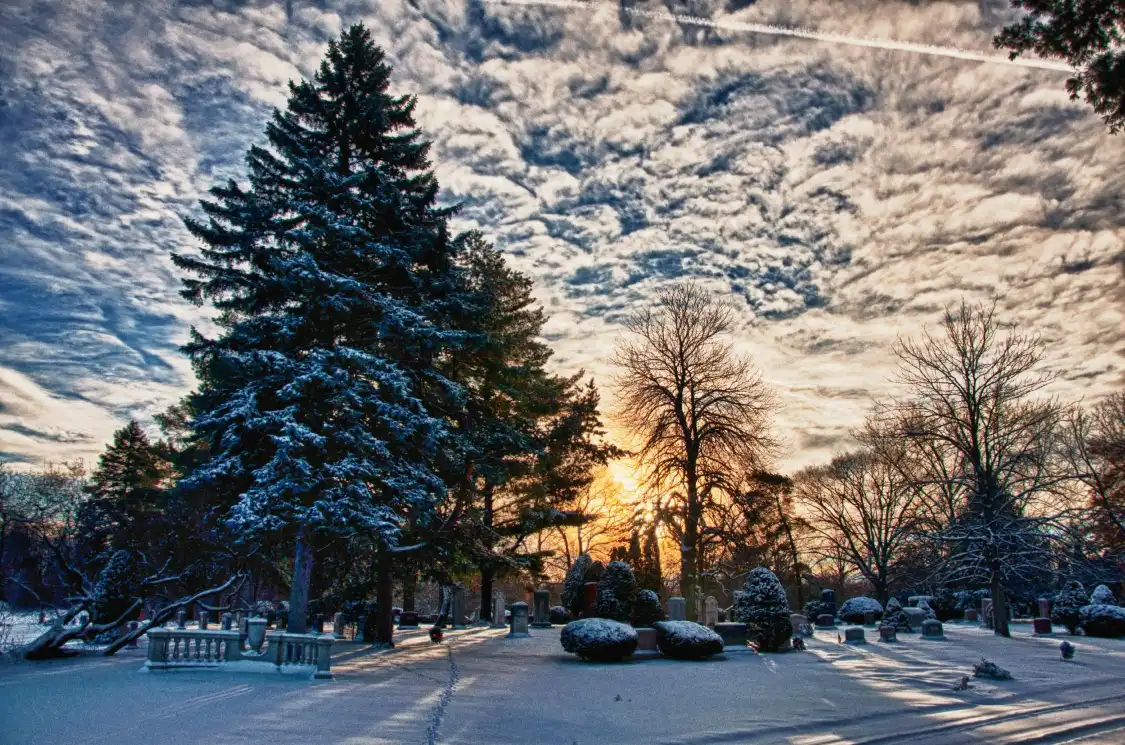 Hotels near Historic Woodlawn Cemetery