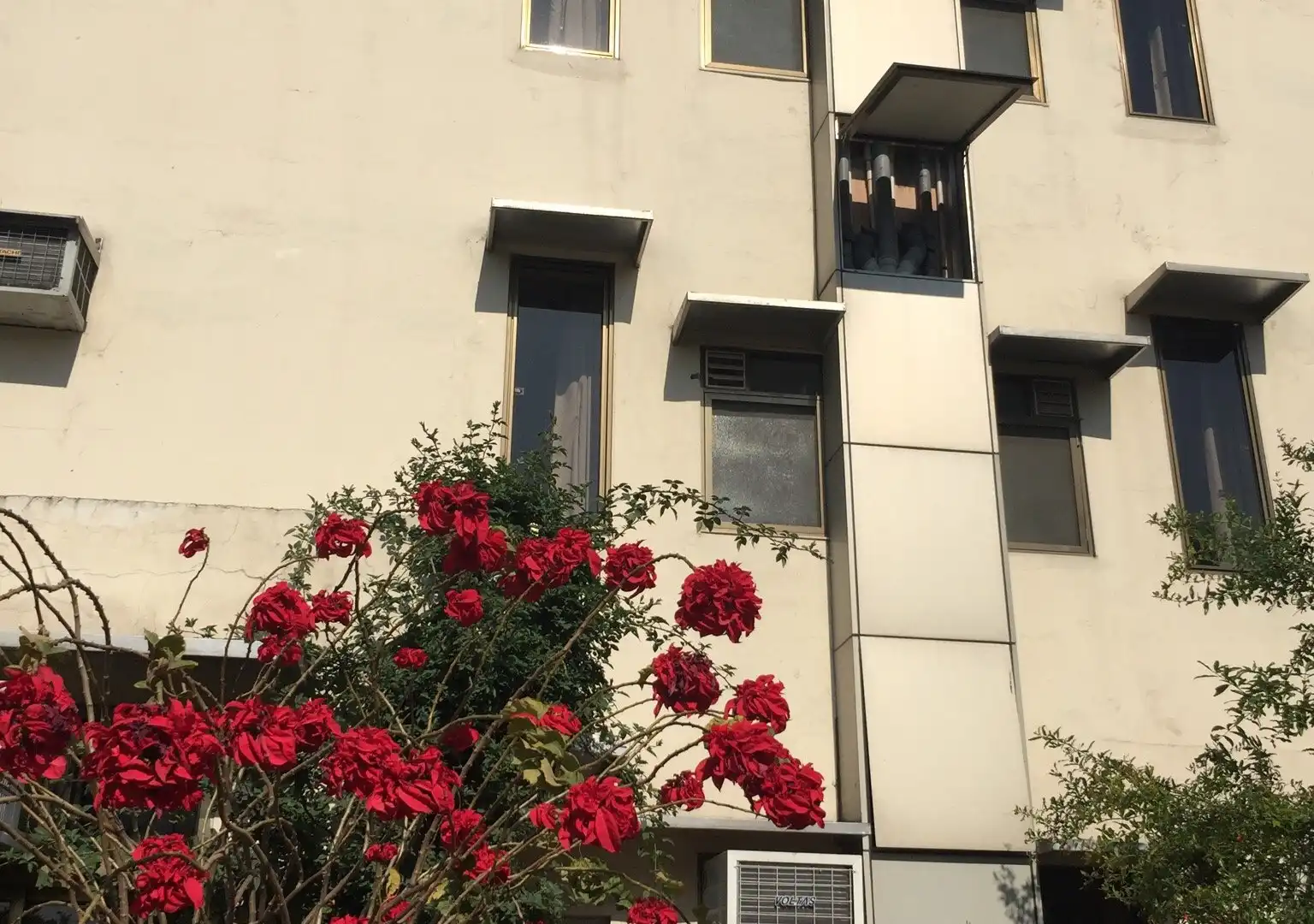 鄰近Maa Anandamayee Ashram的酒店