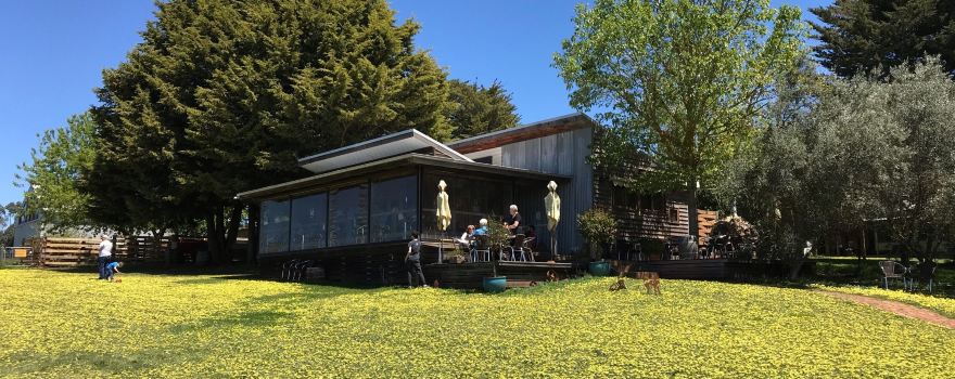 Captains Creek Organic Wines
