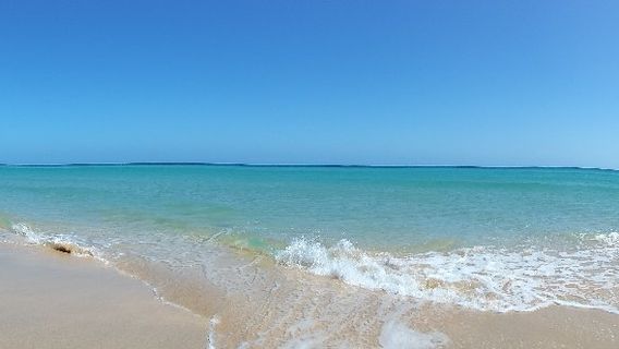 Playa de Sotavento