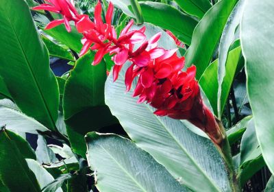 Botanical Garden