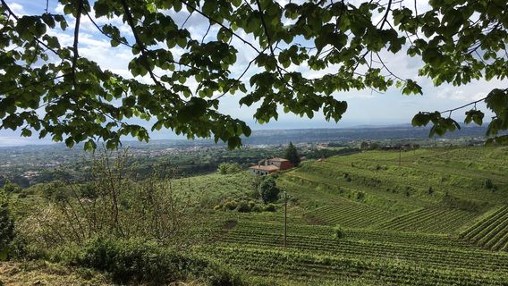Barone di Villagrande winery