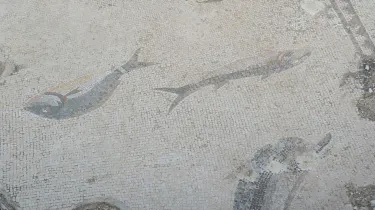 Ayas Mahallesi