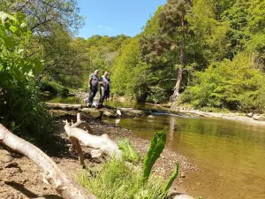 National Trust - Allen Banks and Staward Gorge