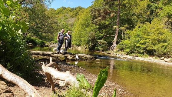 National Trust - Allen Banks and Staward Gorge