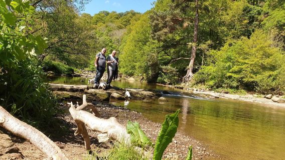 National Trust - Allen Banks and Staward Gorge