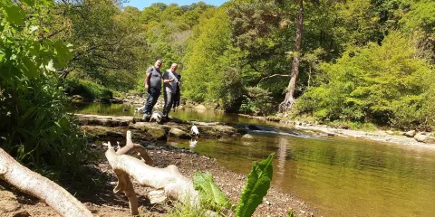 Allen Banks and Staward Gorge
