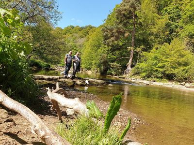 National Trust - Allen Banks and Staward Gorge
