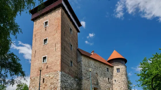 Dubovac Castle