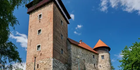 Dubovac Castle