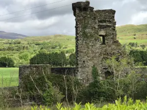 Carriganass Castle