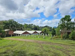 Fazenda Yrere