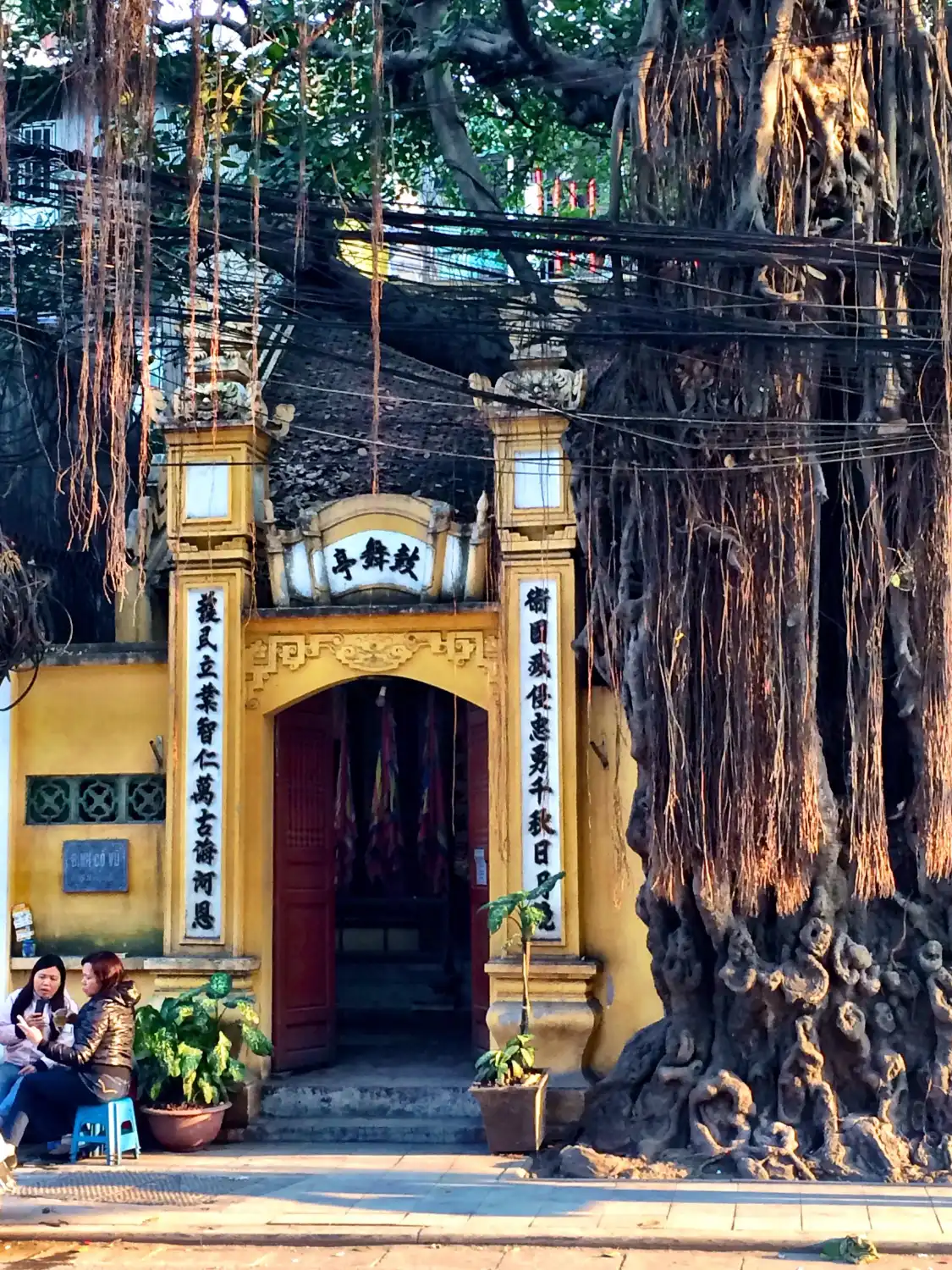 Hotel in zona Dinh Co Vu