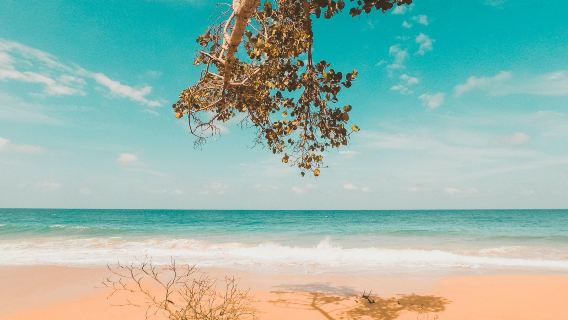 Playa Bluff