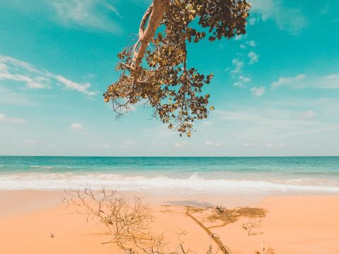 Playa Bluff