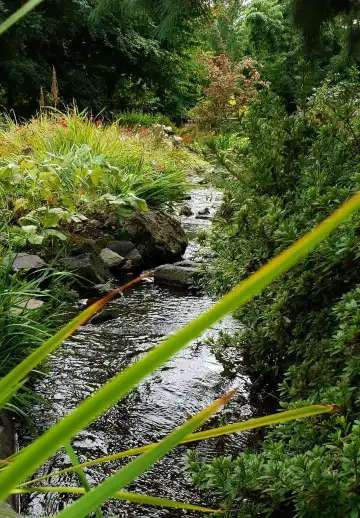 シータックのホテル