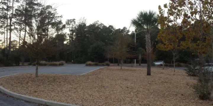 Moccasin Slough Park