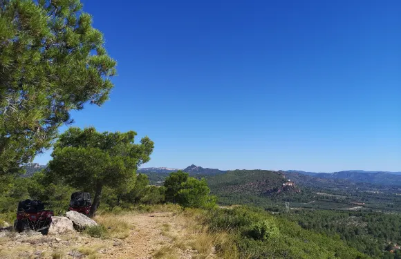 邁阿密普拉特亞