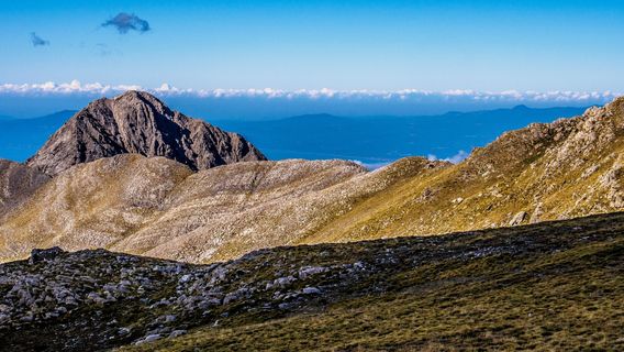 Climb Up - Outdoor Activities