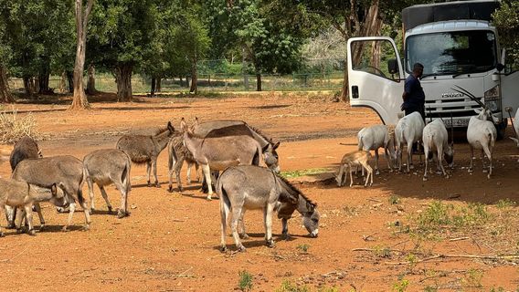 Ridiyagama Safari Park