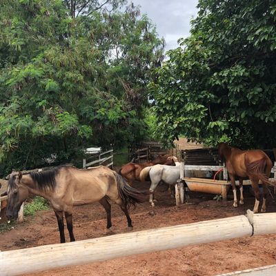Ranch Kajuba
