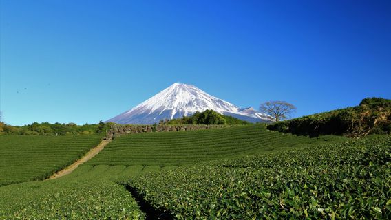 Fuji