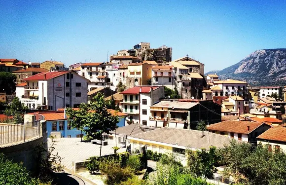 奧利委託奇特拉