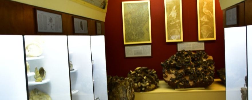 Kotsiomitis Natural History Museum