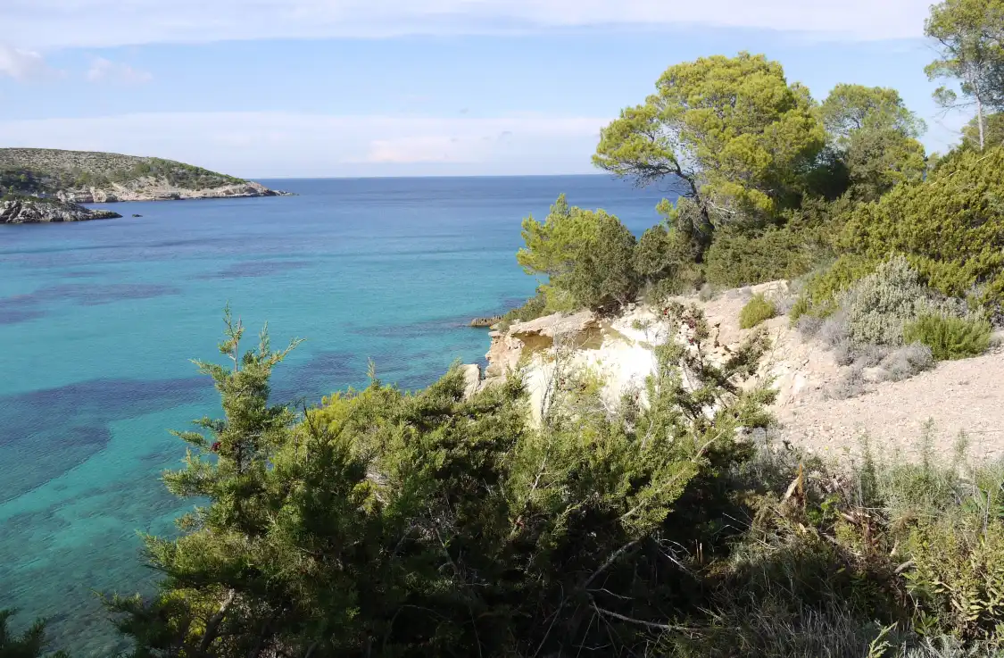 Hotels near Cala S'Illot des Rencli