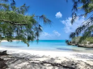 Forbes Hill Beach