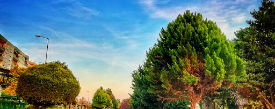 Turkey-Azerbaijan Fraternity Park