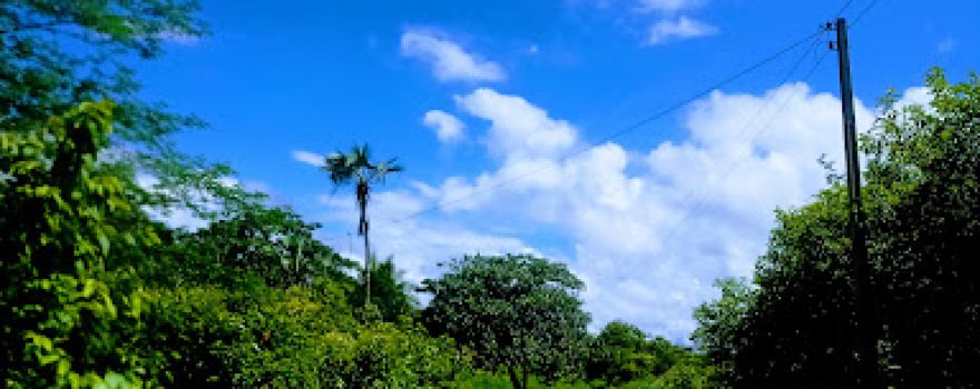 Fazenda moleque de cima
