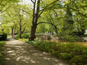 The Dream Park