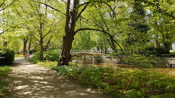 The Dream Park