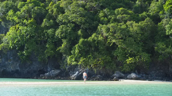 เกาะพะลวย