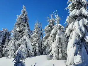 Fichtelberg Cable Car Oberwiesenthal