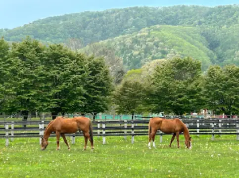 優駿ビレッジ アエル 乗馬クラブ
