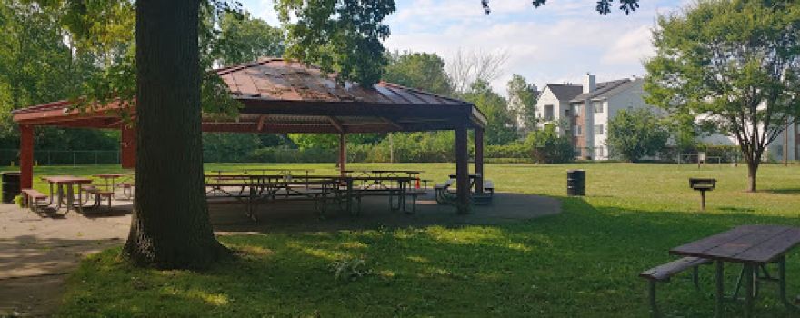 Lion's Park