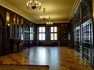 Vyshnivets Palace