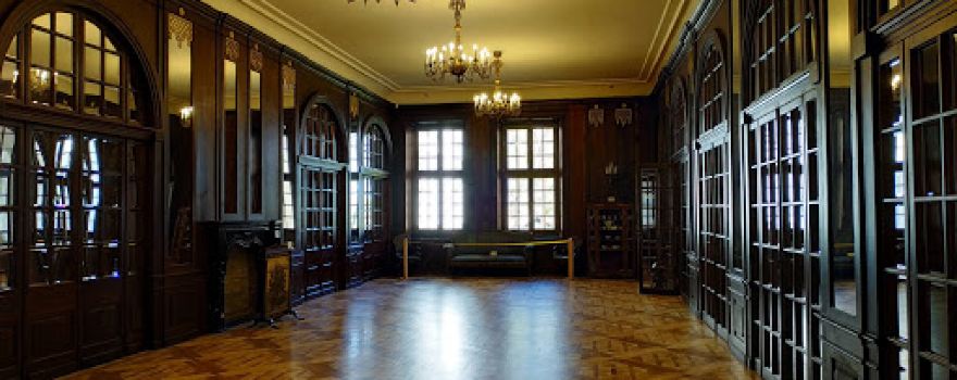 Vyshnivets Palace