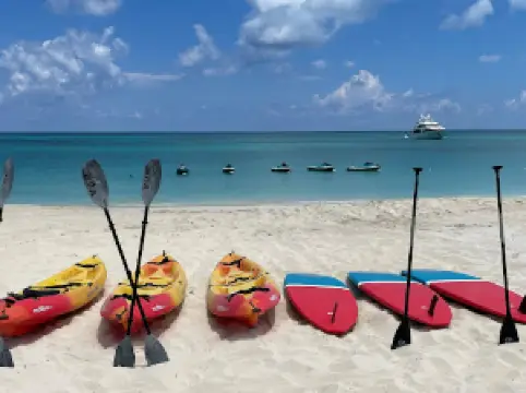 Bimini Blue Adventures