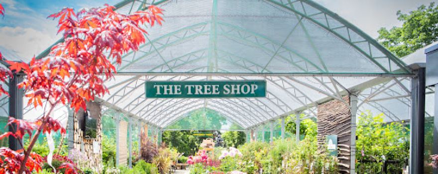 Frank P Matthews Tree Shop