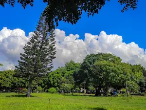 Al Basel Park