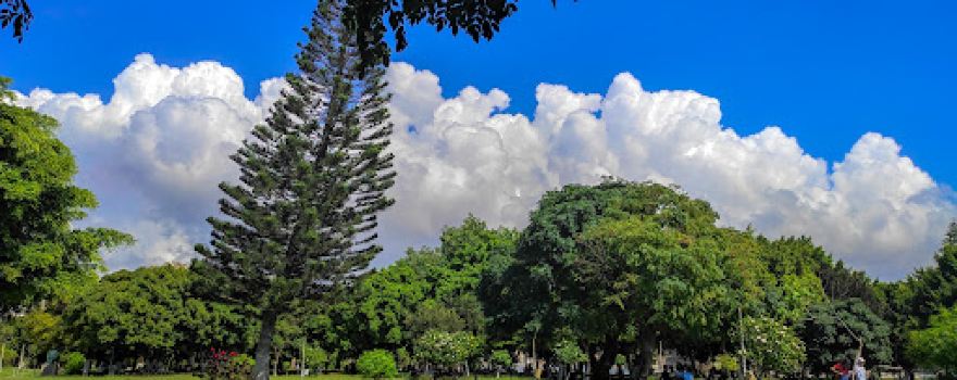 Al Basel Park