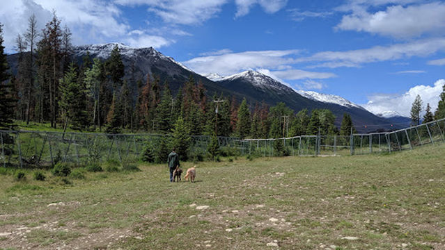 Jasper Off-leash Park