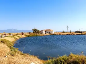 İzmir Kuş Cenneti Ziyaretçi Merkez