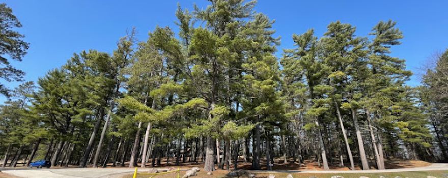 Evergreen Park & Campground